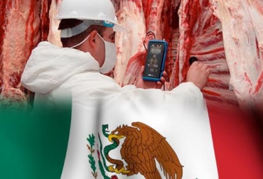 Que es el clembuterol en la carne